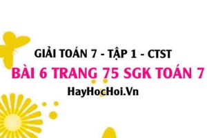 Giải bài 6 trang 75 Toán 7 Tập 1 SGK Chân trời sáng tạo